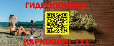ПСИЛОЦИБИНОВЫЕ ГРИБЫ Кулебаки